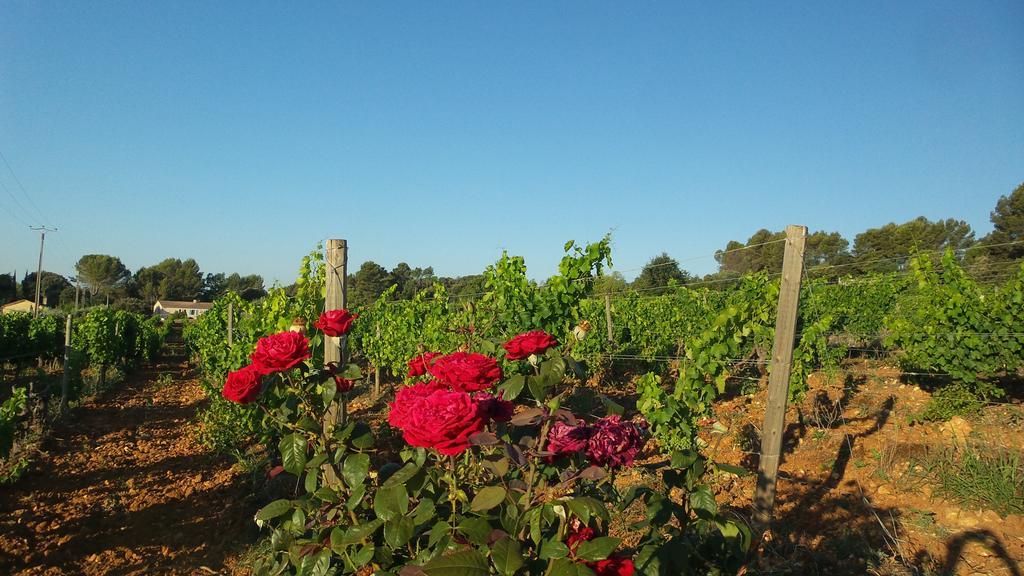 Domaine Rabiega - Vineyard And Boutique Hotel Draguignan Exterior foto
